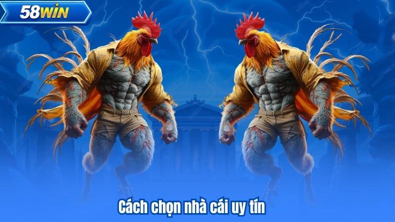 Cách chọn nhà cái uy tín