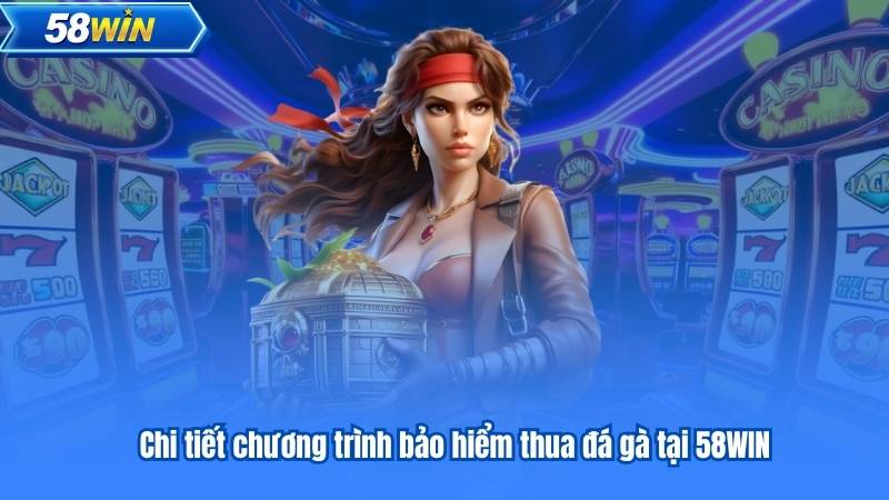 Bảo Hiểm Thua Đá Gà 5% 58Win - Yên Tâm Đặt Cược Mỗi Ngày 6 Chi tiết chương trình bảo hiểm thua đá gà tại 58WIN
