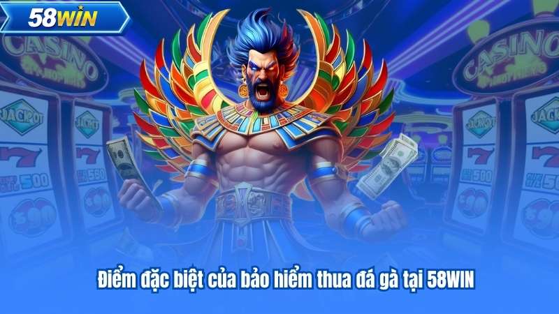 Bảo Hiểm Thua Đá Gà 5% 58Win - Yên Tâm Đặt Cược Mỗi Ngày 5 Điểm đặc biệt của bảo hiểm thua đá gà tại 58WIN